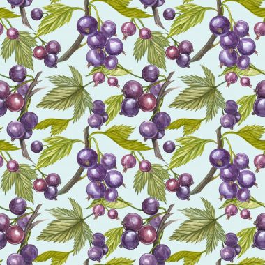 Blackcurrant yaprak beyaz arka plan üzerinde izole. Suluboya resim çizilmiş. Seamless modeli.