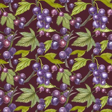 Blackcurrant yaprak beyaz arka plan üzerinde izole. Suluboya resim çizilmiş. Seamless modeli.