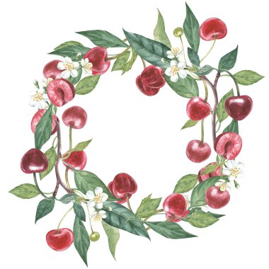 Suluboya çelenk kiraz ve yaprak çizim çiçek çizilmiş. Suluboya botanik illüstrasyon izole beyaz arka plan üzerinde.