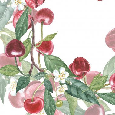 Kiraz çerçeve botanik illüstrasyon. Kiraz çiçek ve yaprak kart tasarımı. Suluboya botanik illüstrasyon izole beyaz arka plan üzerinde.