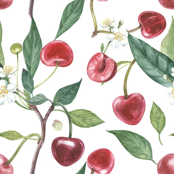 Grinalda aquarela desenhada à mão de flores de cereja e ilustrações de folhas. Ilustração botânica aquarela padrão sem costura . — Fotografia de Stock