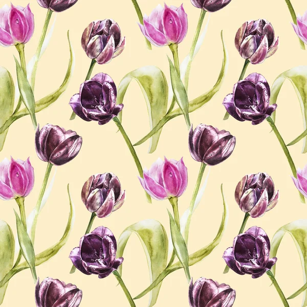 Fiori di Tulipani. Illustrazione botanica disegnata a mano ad acquerello di fiori. Modello senza cuciture . — Foto Stock