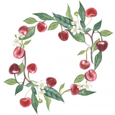 Hand-drawn watercolor wreath of flowers of cherry and leaves illustration. Watercolor botanical illustration isolated on white background. clipart