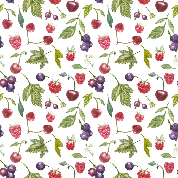 Set of hand drawn berries isolated on white background. Blackcurrant, cherry, raspberry. Watercolor hand drawn sketch berries. Seamless pattern.