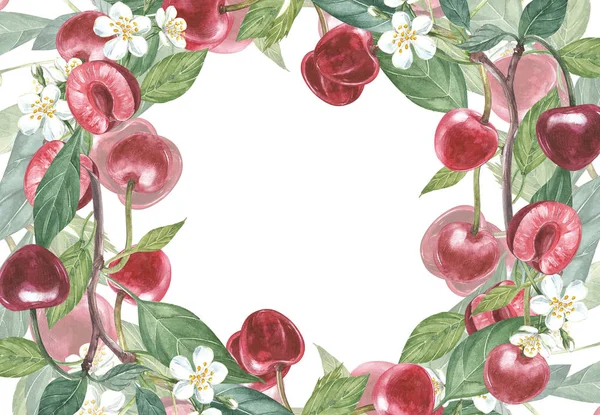 Вишнева рамка ботанічна ілюстрація. Дизайн карти з вишневими квітами та листям. Акварель ботанічна ілюстрація ізольована на білому тлі . — стокове фото