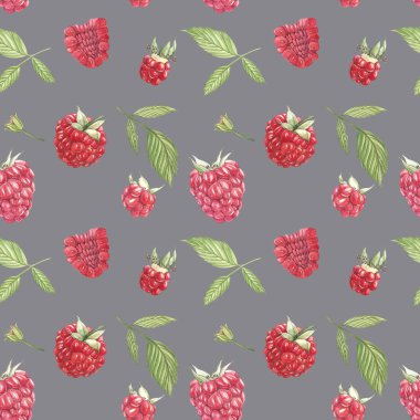 Beyaz arka plan üzerinde elle çizilmiş suluboya resim ahududu. Botanik illüstrasyon. Seamless modeli