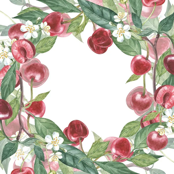 Cherry frame illustrazione botanica. Scheda di design con fiori di ciliegio e foglia. Acquerello illustrazione botanica isolato su sfondo bianco . — Foto Stock