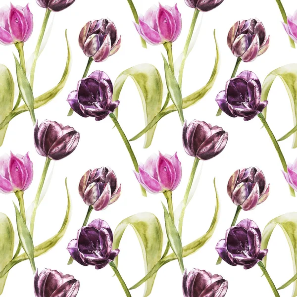 Blüten von Tulpen. Aquarell handgezeichnete botanische Illustration von Blumen. nahtloses Muster. — Stockfoto