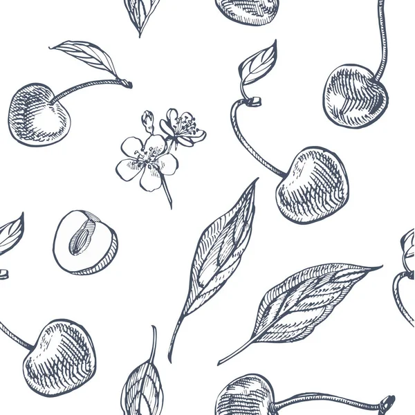 Wiśnia zestaw. Ręcznie rysowane berry na białym tle. Letnie owoce grawerowane wektor styl ilustracji. Świetne dla etykieta, plakat, wydruku. Wzór — Wektor stockowy