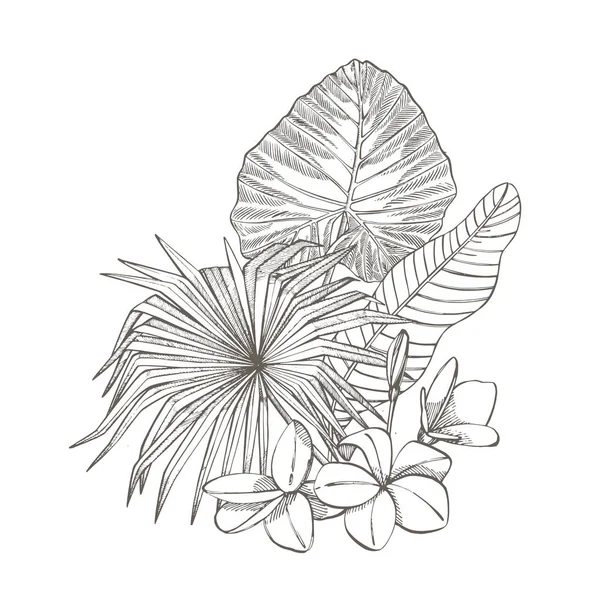 Tropische palm bladeren. Vectorillustratie. Gegraveerde jungle bladeren. — Stockvector