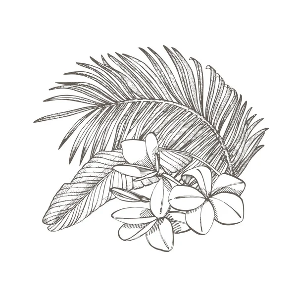Feuilles de palmier tropicales. Illustration vectorielle. Feuilles de jungle gravées . — Image vectorielle