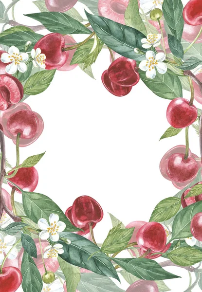 Cherry frame botanische illustratie. Kaart ontwerp met Cherry bloemen en blad. Aquarel botanische illustratie geïsoleerd op witte achtergrond. — Stockfoto