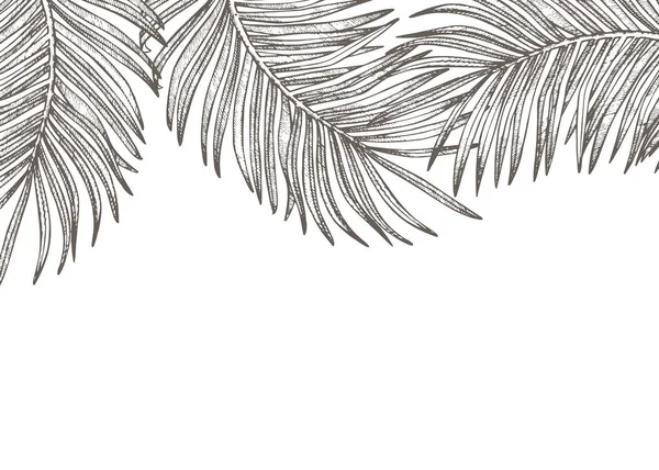 Verano hojas tropicales diseño vectorial. Ilustración de fondo floral. Invitación o diseño de tarjeta con hojas de la selva . — Archivo Imágenes Vectoriales