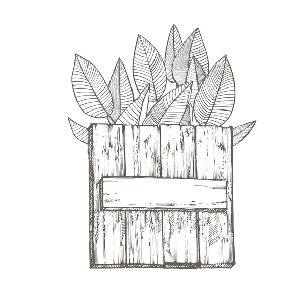 Samenstelling deze houtstructuur en tropische palm bladeren, vector illustratie. Grafische hand getekend geschilderde afbeelding. Plaats voor tekst. — Stockvector