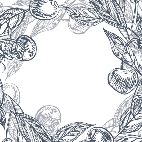 Třešňové sady. Ručně tažené berry izolovaných na bílém pozadí. Letní ovoce vyryto vektorové ilustrace styl. Skvělé pro label, plakát, tisk. — Stockový vektor