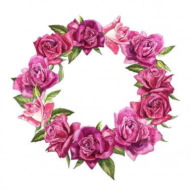 Suluboya botanik illüstrasyon. Çelenk kenarlık çerçeve ile gül çiçek.