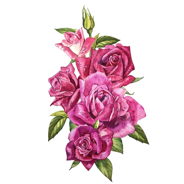 Imposta elementi ad acquerello di rose. Collezione giardino fiori rosa, foglie, rami. Illustrazione botanica isolata su sfondo bianco. Gemme di rose . — Foto Stock