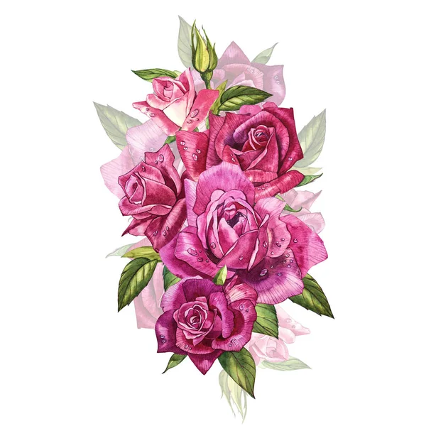 Zestaw elementów akwarela róż. Kolekcja różowe kwiaty, liście, gałęzie. Botanic ilustracja na białym tle. Bud róż. — Zdjęcie stockowe