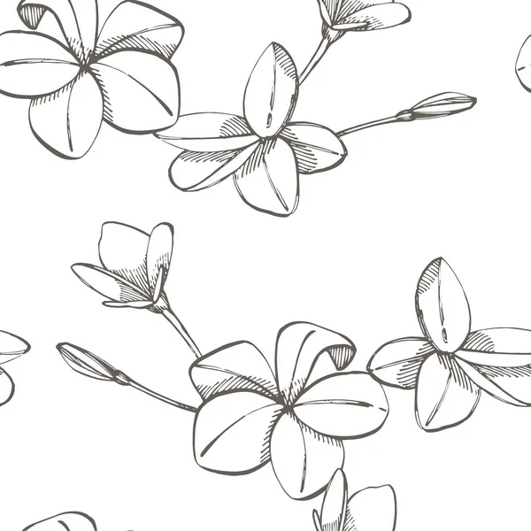 Jungle laisse sans couture vectoriel motif floral fond. Feuilles de palmier tropical fond. Illustration vectorielle dans un style tendance . — Image vectorielle