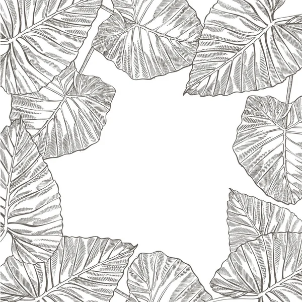 Летние тропические листья векторные конструкции. Цветочный фон. Дизайн приглашения или карты с листьями джунглей . — стоковый вектор