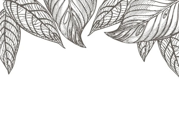 Καλοκαίρι τροπικά φύλλα διανυσματική σχεδίαση. Floral φόντο εικόνα. Πρόσκληση ή καρτών σχεδιασμό με φύλλα ζούγκλα. — Διανυσματικό Αρχείο