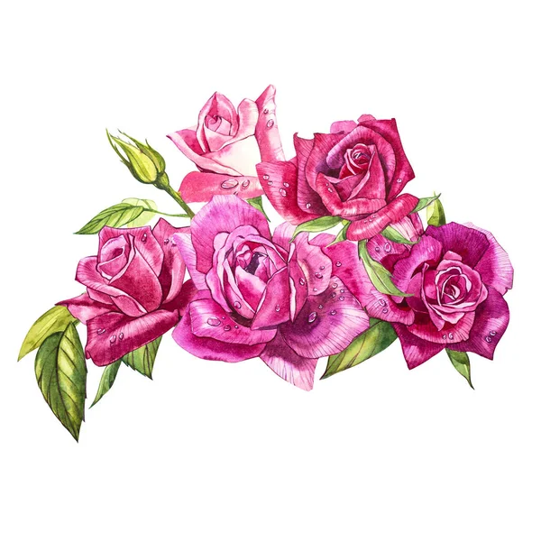 バラの水彩画の要素を設定します。コレクション ガーデン ピンクの花、葉、枝。植物園の図は、白い背景で隔離。バラのつぼみ. — ストック写真