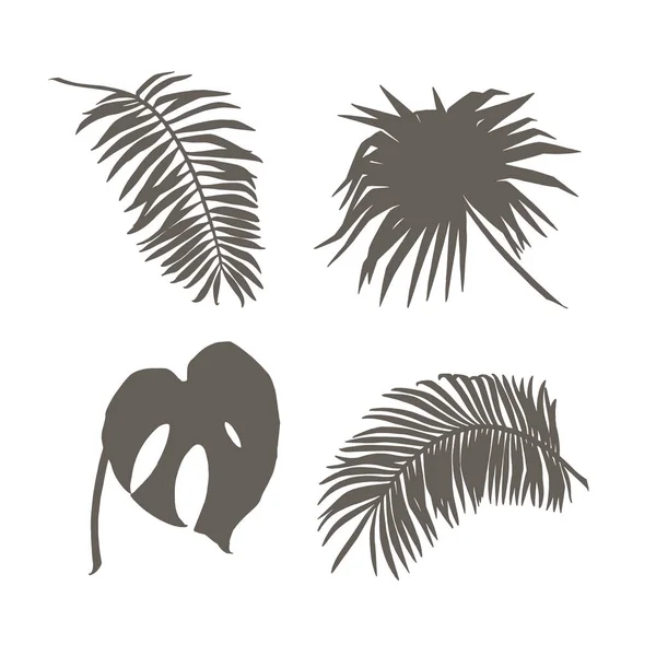 Colección de hojas tropicales. Hojas de palma. Ilustración vectorial — Archivo Imágenes Vectoriales