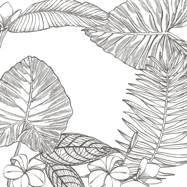 Feuilles tropicales estivales design vectoriel. Illustration de fond floral. Invitation ou dessin de carte avec feuilles de jungle . — Image vectorielle