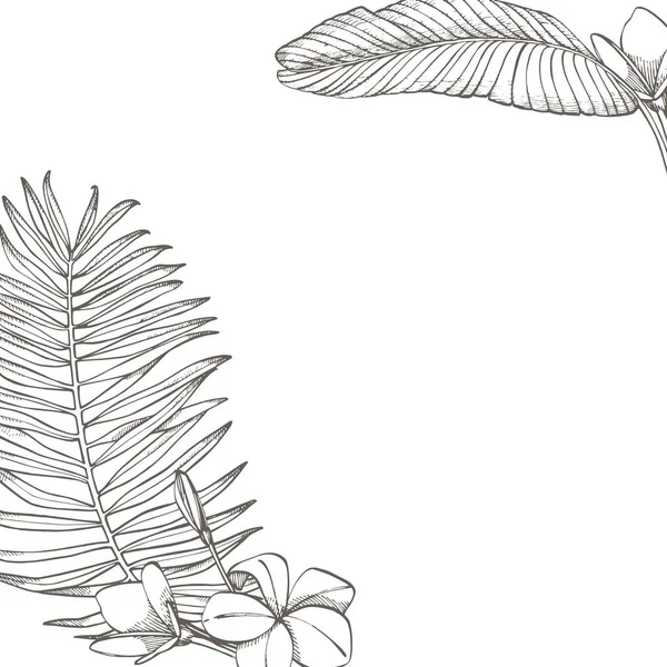 Verano hojas tropicales diseño vectorial. Ilustración de fondo floral. Invitación o diseño de tarjeta con hojas de la selva . — Vector de stock