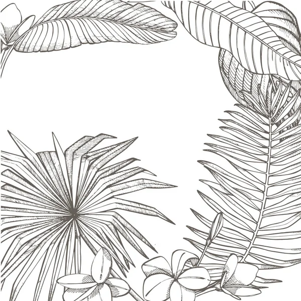 Feuilles tropicales estivales design vectoriel. Illustration de fond floral. Invitation ou dessin de carte avec feuilles de jungle . — Image vectorielle