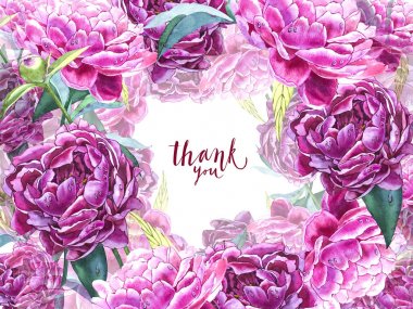 Doğal pembe Şakayık arka plan. Kırmızı ve pembe Şakayık, suluboya resim çerçeve.