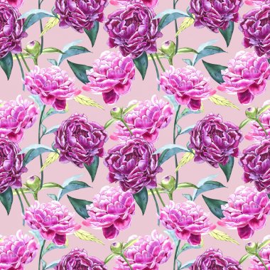 Şakayık çiçekleri ile sorunsuz arka plan. Sulu boya resim. Grafik el çekilmiş çiçek desenli. Tekstil kumaş tasarım.