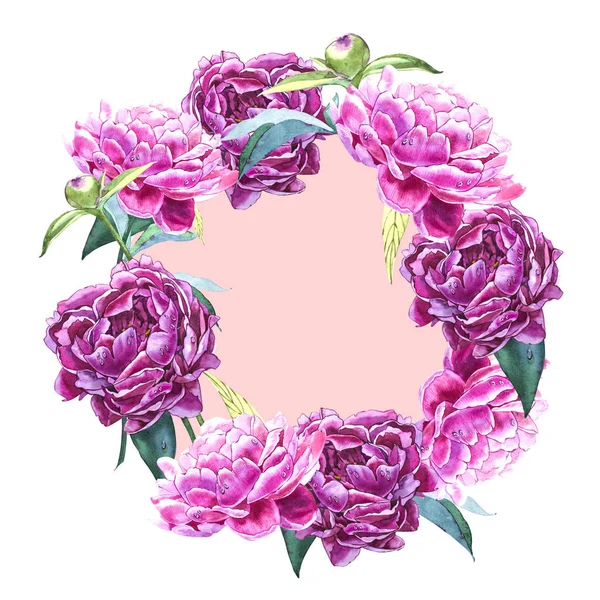 Watercolor botanical illustration. Wreath border frame with peony flowers. — Stock Photo, Image