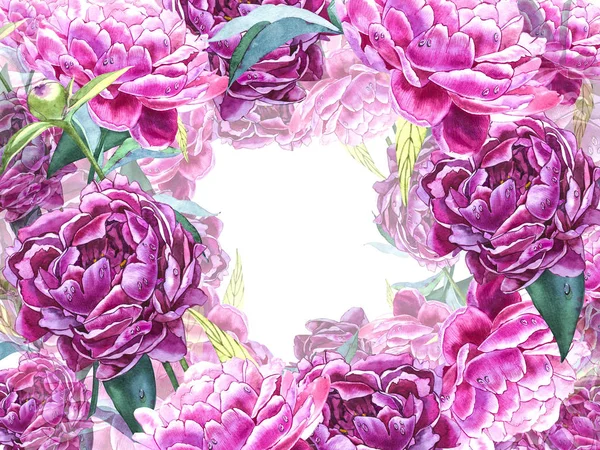 Naturliga rosa pion bakgrund. Ram av röda och rosa pion, akvarell illustration. — Stockfoto