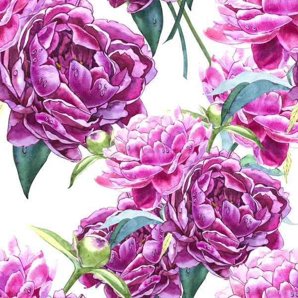 작 약 꽃으로 완벽 한 배경입니다. 수채화 그림입니다. 그래픽 손으로 그린된 꽃 패턴입니다. 섬유 직물 디자인. — 스톡 사진