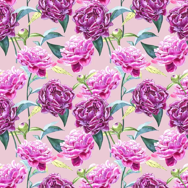 Seamless background with peony flowers. Watercolor illustration. Graphic hand drawn floral pattern. Textile fabric design. — Stock Photo, Image