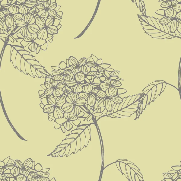 Ilustración gráfica de hortensias en estilo vintage. Dibujo de flores y boceto con línea de arte sobre fondos blancos. Ilustración de plantas botánicas. Patrón sin costura — Vector de stock