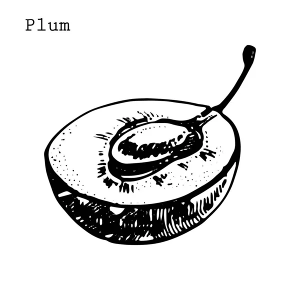 Plums hand drawn illustration. Ink sketch. Hand drawn illustration. Seamless pattern. Healthy organic food. Farm market products. Best for package design. — 图库矢量图片