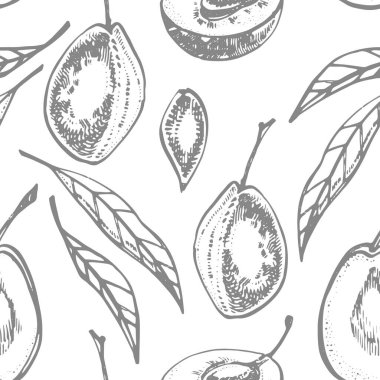 Erikler elle çizilmiş illüstrasyon. Mürekkep çizimi. El çizimi çizimi. Kusursuz desen. Sağlıklı organik yiyecekler. Çiftlik pazarı ürünleri. Paket tasarımı için en iyisi.