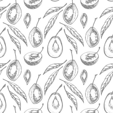 Erikler elle çizilmiş illüstrasyon. Mürekkep çizimi. El çizimi çizimi. Kusursuz desen. Sağlıklı organik yiyecekler. Çiftlik pazarı ürünleri. Paket tasarımı için en iyisi.