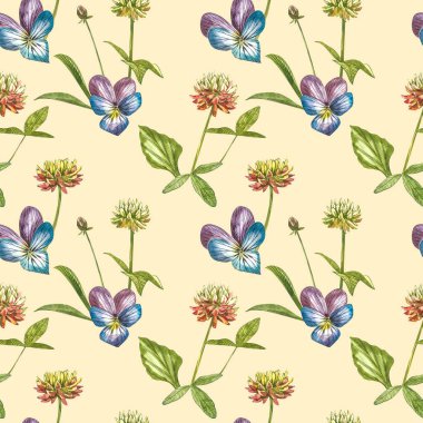 Hanım evladı ya da papatya çiçeği. Suluboya botanik illüstrasyon. Kozmetik, ilaç, tedavi, aromaterapi, hemşirelik, paket tasarımı, saha buketi için iyi. Kusursuz desenler.