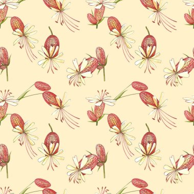 İdrar torbası çiçekleri. Çiçeklerin suluboya seti, çiçek elementleri, el çizimi botanik çizimler. Kusursuz desenler.