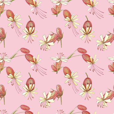 İdrar torbası çiçekleri. Çiçeklerin suluboya seti, çiçek elementleri, el çizimi botanik çizimler. Kusursuz desenler.