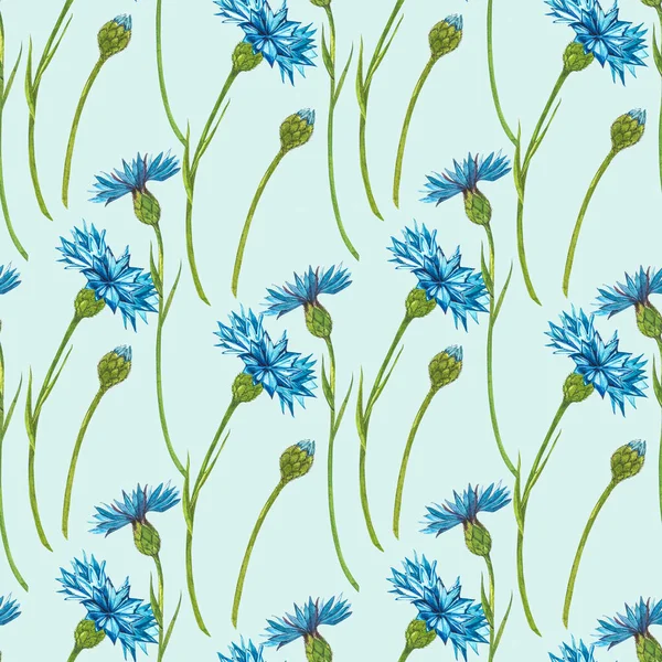 Синій букет "Корнфлауер" або букет з гудзиками, ізольований на білому тлі. Набір малювання кукурудзяних квітів, квіткових елементів, акварельної ботанічної ілюстрації. Безшовні візерунки. — стокове фото