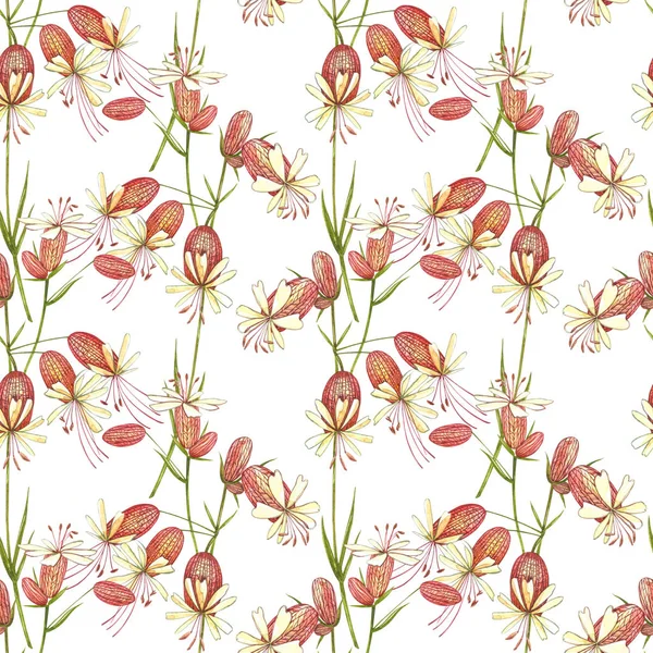 Blase Campion Blumen. Aquarell-Zeichnung Kornblumen, florale Elemente, handgezeichnete botanische Illustration. nahtlose Muster. — Stockfoto