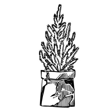 Noel ağaçları. Yeni yıl ve Noel tasarım unsurları. Xmas grafikli tebrik kartı davetiyesi. Klasik illüstrasyon.