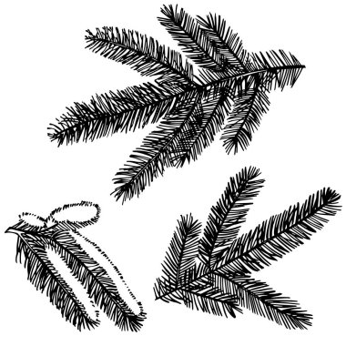 Noel ağaçlarının dalları. Yeni yıl ve Noel tasarım unsurları. Xmas grafikli tebrik kartı davetiyesi. Klasik illüstrasyon.