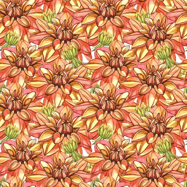 Dahlias orange aquarelle. Modèles sans couture. Fleurs sauvages isolées sur blanc. Illustration aquarelle botanique, bouquet de dahlias orange, fleurs de dahlias rustiques . — Photo