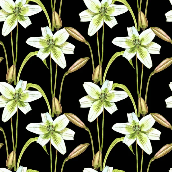 Gigli bianchi ad acquerello. Modelli senza soluzione di continuità. Fiore selvatico insieme isolato su bianco. Illustrazione botanica ad acquerello, mazzo di gigli bianchi, fiori di gigli rustici . — Foto Stock