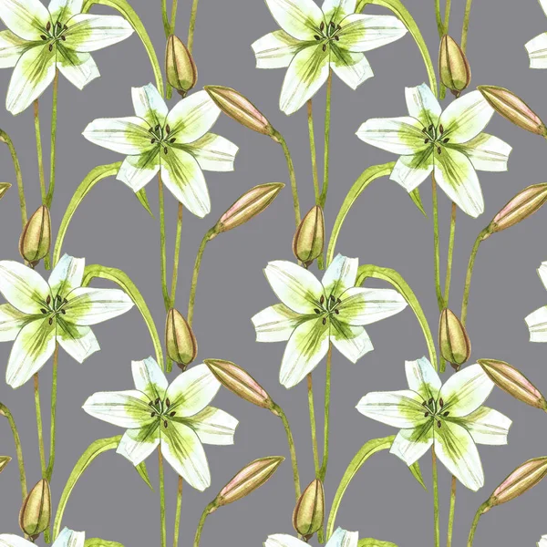 Ακουαρέλα λευκά κρίνα. Απρόσκοπτη συμπεριφορά. Άγρια λουλούδια που απομονώνονται στο λευκό. Βοτανική ακουαρέλα εικονογράφηση, λευκά κρίνα μπουκέτο, ρουστίκ λουλούδια κρίνα. — Φωτογραφία Αρχείου